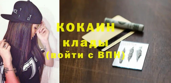 дмт Богородск