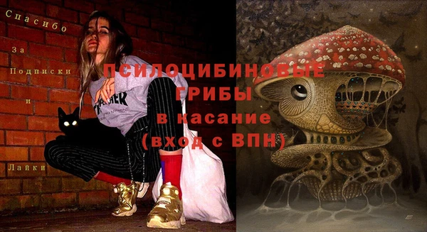 дмт Богородск