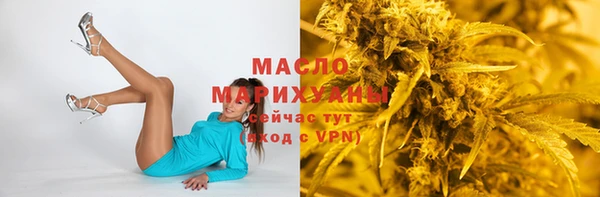 дмт Богородск