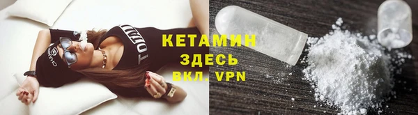 гидра Белокуриха