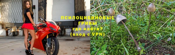 мескалин Богородицк
