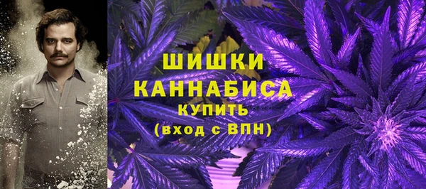 дмт Богородск