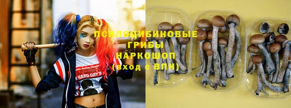 мескалин Богородицк