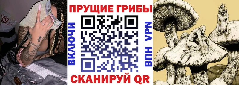 купить закладку  Бийск  Галлюциногенные грибы мухоморы 